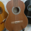 قیمت Parsi M6 Classical Guitar