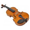 قیمت ویولون هافنر Karl Hofner AS-160 V 4/4
