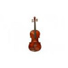 قیمت RENATO 180 Size 3/4 Violin