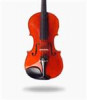 قیمت ویولن Amati آماتی 220 4/4