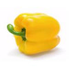 قیمت بذر فلفل دلمه ای زرد - yellow sweet pepper