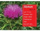 قیمت بذر خار مریم -silybum