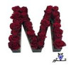 قیمت باکس گل حروف