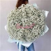قیمت دسته گل ژیپسوفیلا سفید