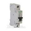قیمت کلید مینیاتوری تک پل 40 آمپر اشنایدر مدل C60N