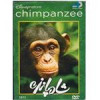 قیمت مستند شامپانزه