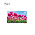 قیمت Daewoo TV model DLE-43K4311 size 43 inches