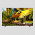 قیمت DAEWOO LED TV DLE-50K4310U 50 INCH ULTRA HD