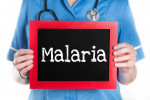 ۱۱ درمان خانگی و طبیعی مالاریا ( Malaria )