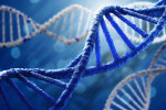 DNA چیست ؟ همه چیز درباره دی ان ای