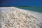 ساحل صدف یکی از دیدنی های زیبا و جذاب کشور استرالیا