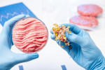 گوشت مصنوعی روانه بازار می شود ؟