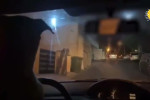 رانندگی سگ باهوش در کوچه و خیابان های شهر