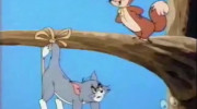 کارتون موش و گربه جدید قسمت ۱۹۴
