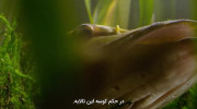مستند سریالی دنیای کوچک فصل دوم قسمت ۳ زیرنویس فارسی