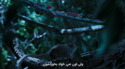 مستند سریالی دنیای کوچک فصل دوم قسمت ۴ زیرنویس فارسی