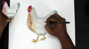 آموزش نقاشی ساده و زیبا مرغ