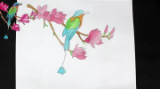 آموزش نقاشی کشیدن پرنده