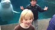 کلیپ بامزه بازی کردن دلفین با بچه