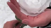 ساخت هنرمندانه گل زیبا با برف