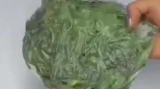 طرز نگهداری سبزی خوردن در یخچال به مدت طولانی