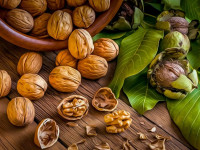 خواص پوست سبز گردو | ۶ خاصیت شگفت انگیز پوست گردو برای سلامتی