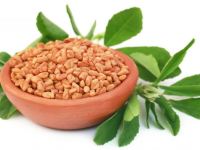 دانه شنبلیله | ۲۲ خاصیت بی نظیر تخم شنبلیله برای انواع مشکلات مو