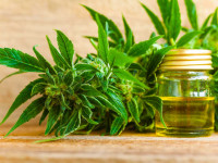 اگر امروز با فواید عجیب روغن شاهدانه آشنا نشوید پشیمان خواهید شد