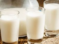دوغ شتر : ۱۳ خاصیت تایید شده دوغ شتر در طب سنتی