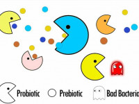 تفاوت اصلی بین پروبیوتیک و پری بیوتیک در چیست ؟