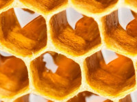 حرارت دادن عسل : چرا عسل را حرارت میدهند ؟