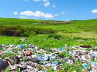 چه زباله‌هایی را هرگز نباید در طبیعت رها کنیم ؟