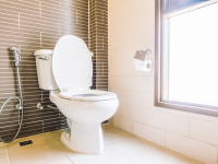 توالت فرنگی چیست و چه کاربردی دارد ؟