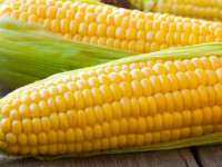 همه چیز درباره کالری و ارزش غذایی انواع ذرت