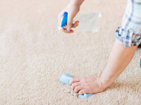 بوی بد شیر ریخته شده روی فرش را با این 4 روش می توان از بین برد