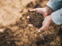 چگونه کود ماهی درست کنیم ؟