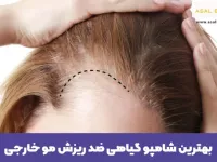 بهترین شامپو گیاهی ضد ریزش مو خارجی