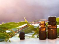 ۲۵ خاصیت استثنایی روغن اکالیپتوس در طب سنتی