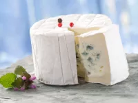طرز تهیه پنیر لاکتیکی و خواص با ارزش این پنیر