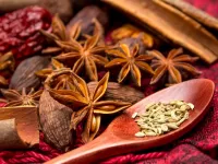 بادیان چیست؟ روش نگهداری و کاربرد بادیان