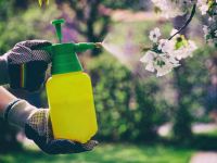 روش تهیه ۴ نوع آفت کش ارگانیک و طبیعی در منزل