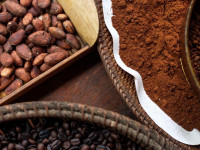 انواع قهوه : شناخت دانه قهوه و انواع آن