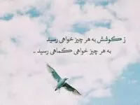 20 شعر کوتاه فوق العاده زیبا درباره کامیابی و موفقیت برای بیو