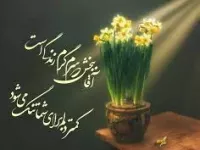 با هر گناه فاصله می گیرم از شما | شعر آقا ببخش، بس که سرم گرم زندگی ست