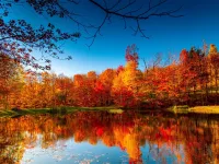 دانلود آهنگ جدید محسن چاوشی یه پاییز + متن آهنگ