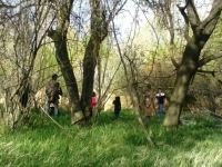 معرفی ۱۰ مکان طبیعی برای سیزده بدر در کرمان