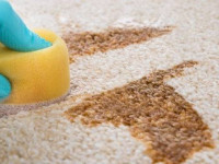 روش های جادویی برای تمیز کردن لکه چای از روی فرش