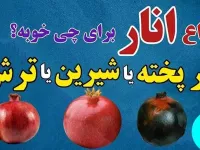 انواع انار برای چه بیماری هایی خوبه؟ | شب یلدا انار پخته بخوریم یا انار ترش یا شیرین؟