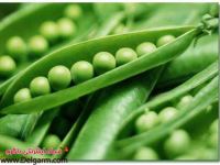 خاصیت نخودفرنگی و خواص بینظیر نخودفرنگی