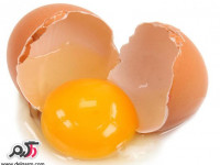 خاصیت زرده تخم مرغ چیست؟ سفیده بهتر است یا زرده؟